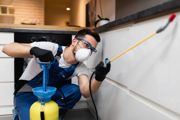 Best Pest Prevention Services  in La Porte, TX