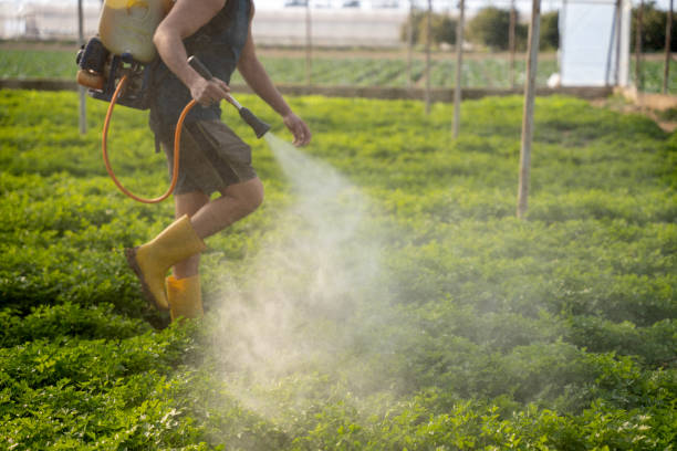 Best Best Pest Control Companies  in La Porte, TX