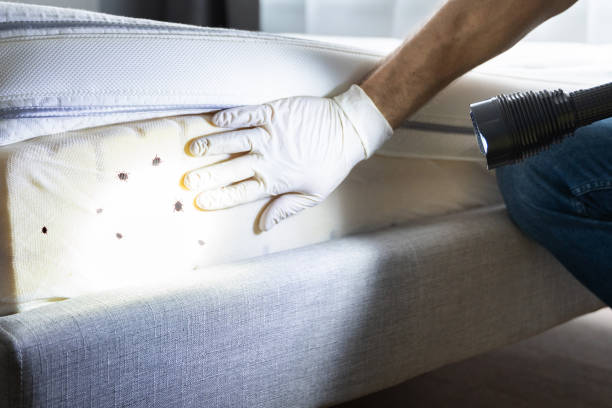 Best Pest Control Near Me in La Porte, TX